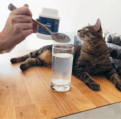 Load image into Gallery viewer, Detoxify Hangover Fix 8X