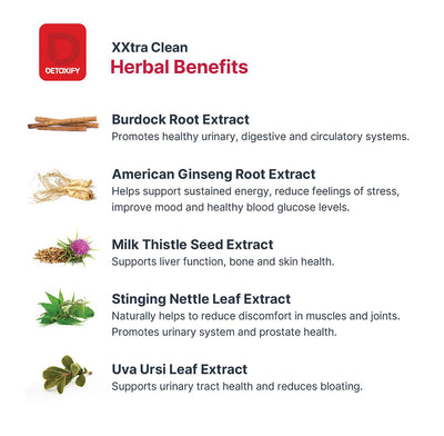 Load image into Gallery viewer, Detoxify XXtra Clean Herbal Cleanse