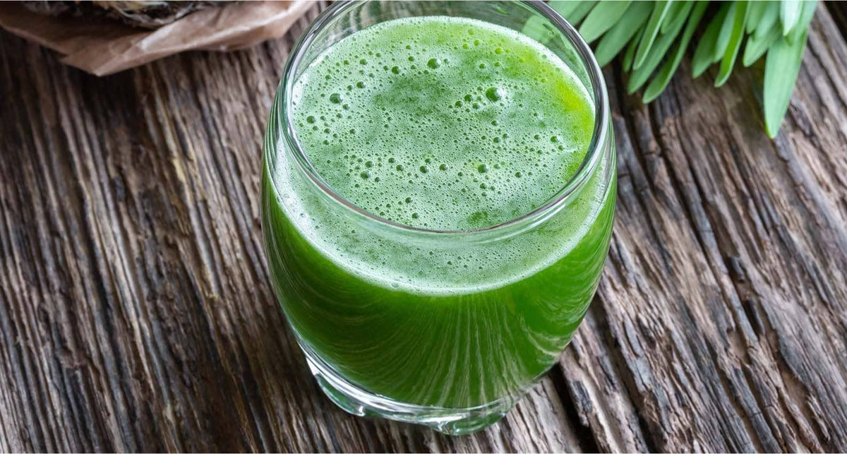 Your Complete Guide To Wellness Shots & Their Benefits Wellness Shots