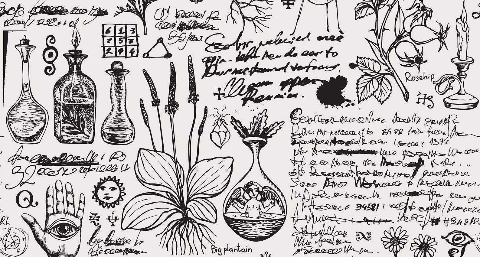 9 Sacred Herbs for a Whole Body Detox