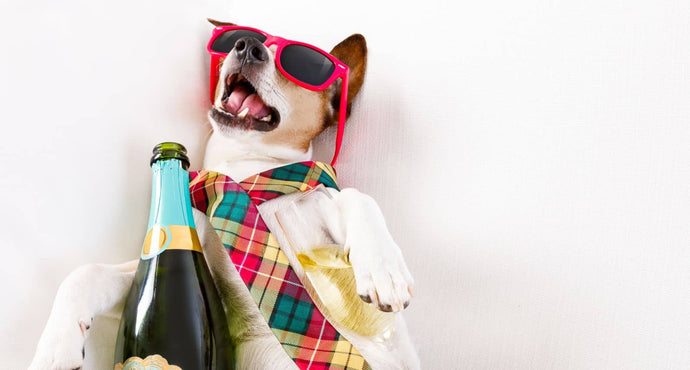 6 Hangover Hacks That Don't Actually Work (And What To Do Instead)