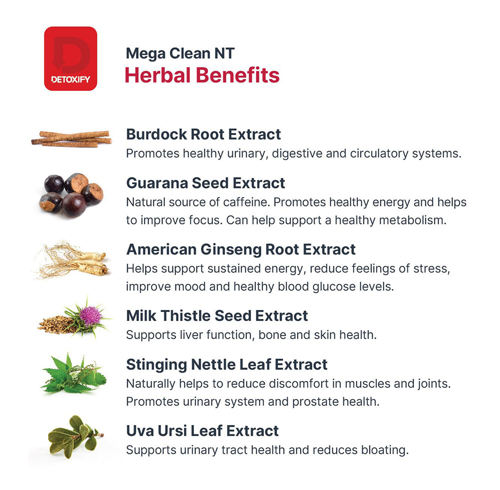 Detoxify® Mega Clean NT with Metaboost - Mega Clean NT Reviews ...